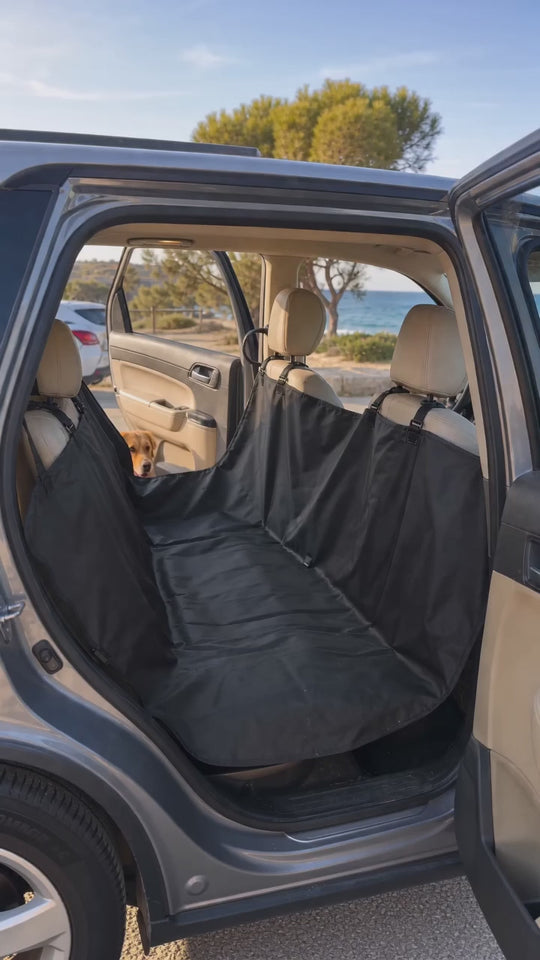 Perro mojado de la playa sobre la funda del asiento trasero; al llegar se sacude la funda y el asiento queda limpio