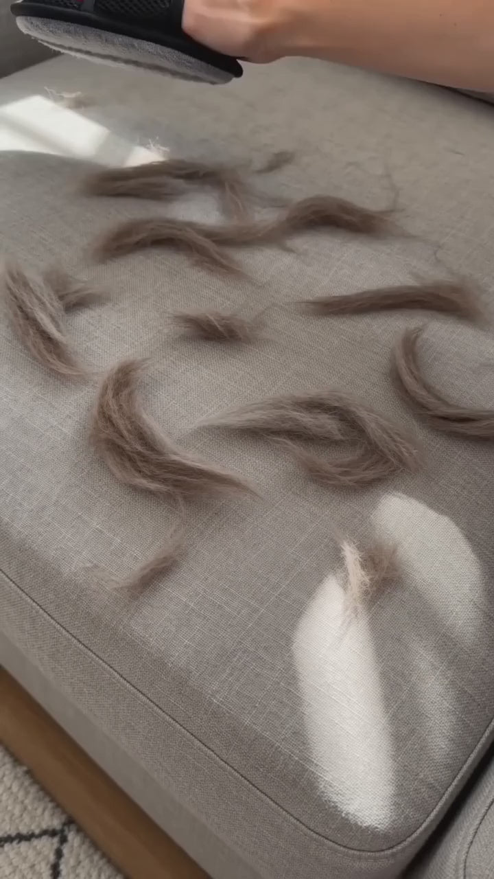 Manopla quita pelos recogiendo pelo de perro del sofá, la ropa y el coche